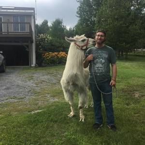 Meet your Posher, Michael